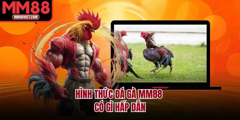 Hình thức đá gà MM88 có gì hấp dẫn